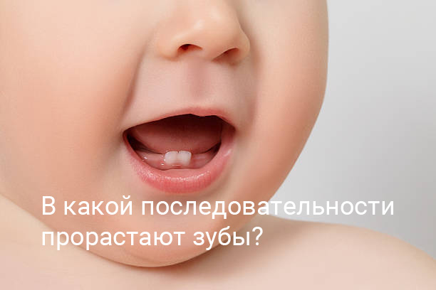 В какой последовательности прорастают зубы?