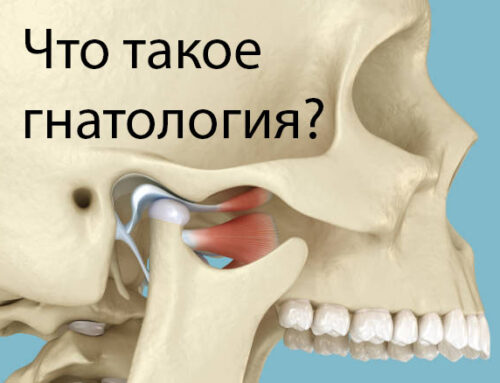 Что такое гнатология?