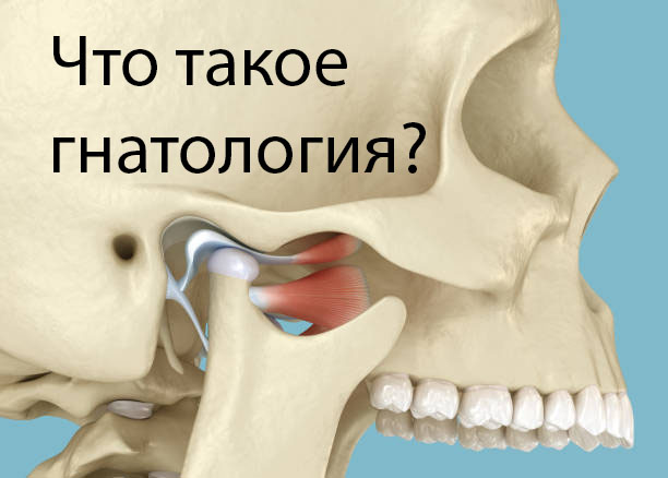 Что такое гнатология?